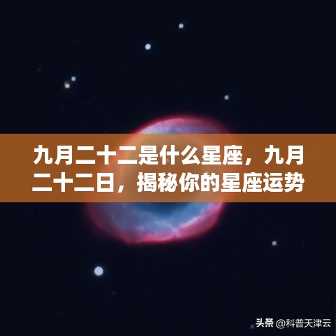 血型 第108页