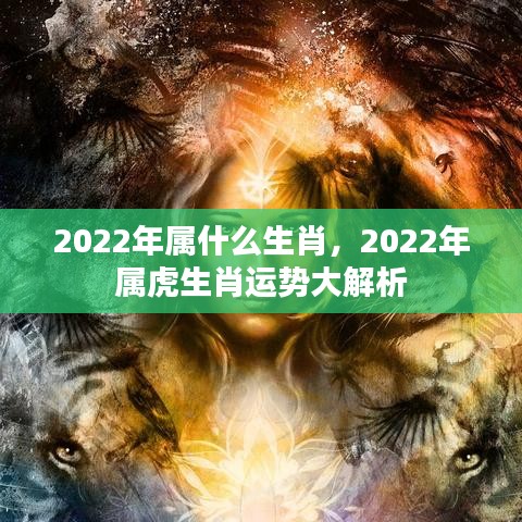 2022年属虎生肖运势全面解析