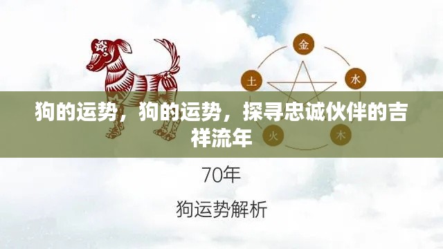 狗的运势揭秘，探寻忠诚伙伴的吉祥流年运势解析