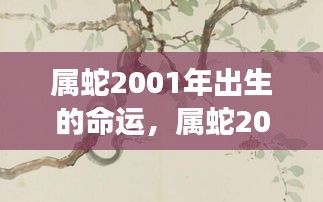 属蛇2001年出生命运展望，星象指引下的未来轮廓揭秘