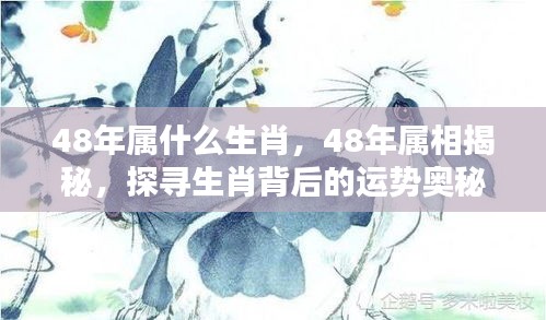 揭秘生肖奥秘，探寻48年属相运势与生肖揭秘