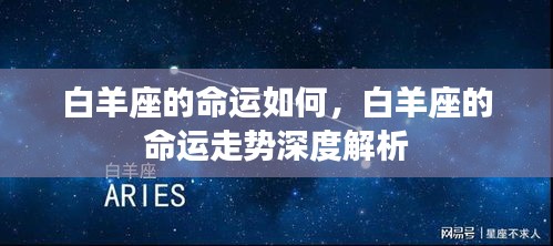 白羊座的命运深度解析与走势探讨