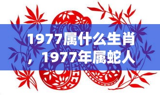 1977年属蛇人的运势详解与生肖运势分析