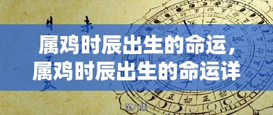 属鸡出生时辰与命运详解