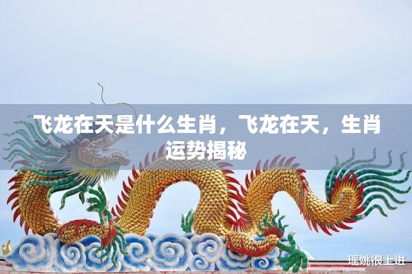 飞龙在天，揭秘生肖运势与神秘生肖关联