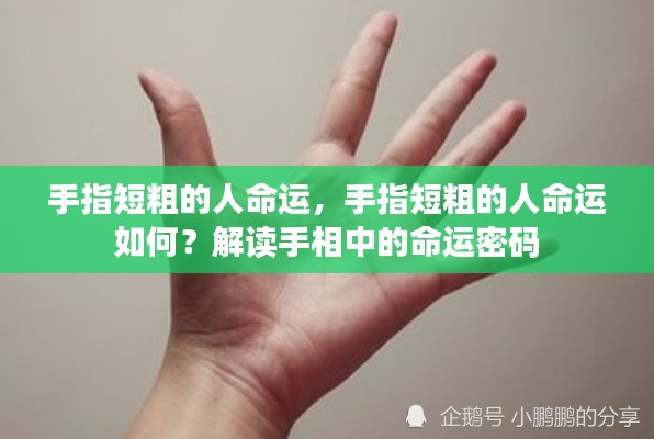 手指短粗的人命运揭秘，手相中的命运密码解读