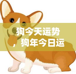 今日狗年运势概览，宠物犬的幸运时刻