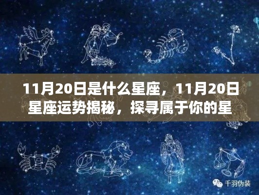 揭秘11月20日星座运势与星辰轨迹，探寻属于你的星座奥秘