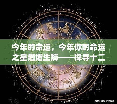 探寻十二星座辉煌之旅，今年命运之星熠熠生辉