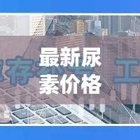 2024年12月6日 第6页