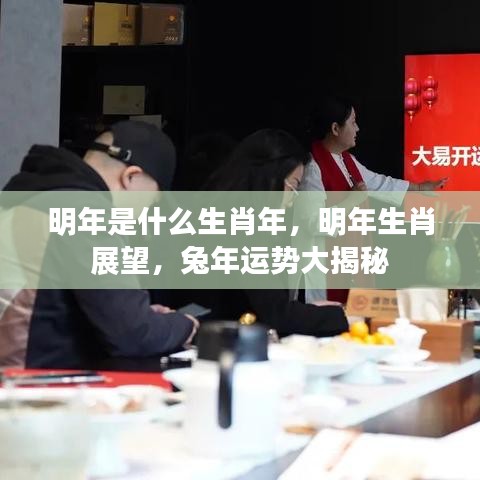 明年生肖揭秘，兔年运势展望与运势大揭秘