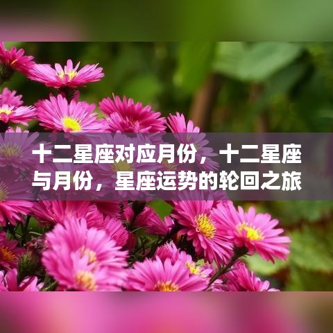 星座轮回之旅，月份与十二星座的对应关系及运势解析