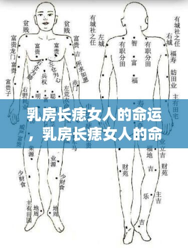 乳房长痣与星座运势，女性命运中的独特印记