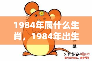 揭秘属鼠人生肖运势，1984年出生者的命运解析