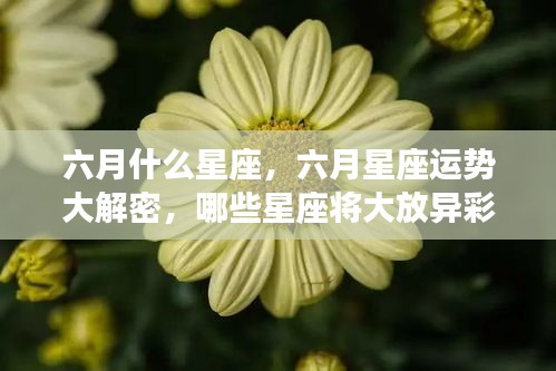 六月星座运势揭秘，哪些星座在六月将大放异彩？