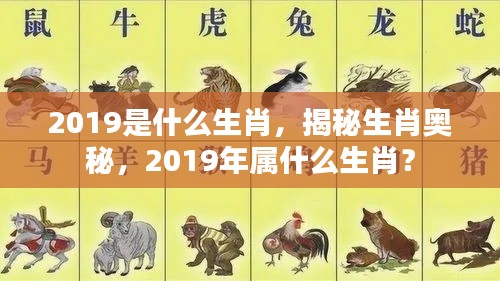 揭秘生肖奥秘，2019年属什么生肖？猪的生肖年解读。