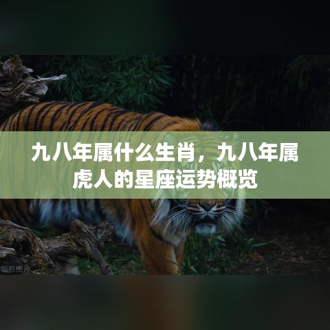 九八年属什么生肖，九八年属虎人的星座运势概览