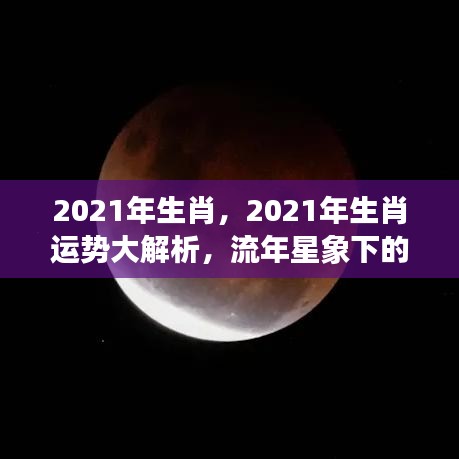 流年星象下的机遇与挑战，2021年生肖运势大解析