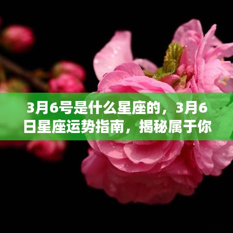 揭秘3月6日星座运势与秘密指南