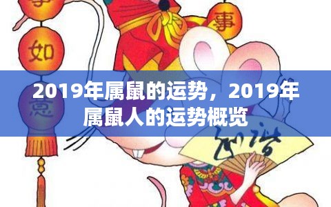 2019年属鼠人的运势概览，全方位解析事业、财运、感情与健康