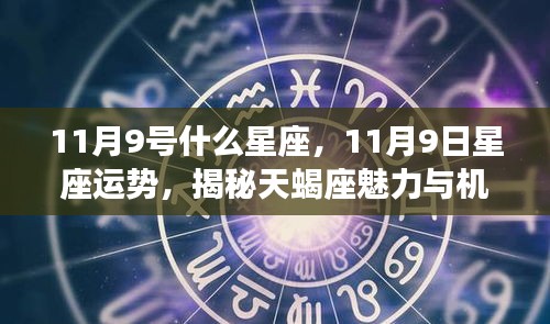 揭秘天蝎座，11月9日的星座运势与魅力机遇解析