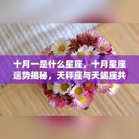 十月一是什么星座，十月星座运势揭秘，天秤座与天蝎座共舞星辰间