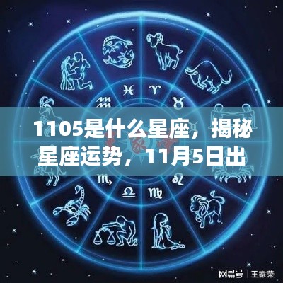 揭秘星座运势，揭秘11月5日出生者的星座奥秘——星座解析之射手座篇