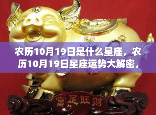 农历10月19日星座运势揭秘，性格与未来走向探秘