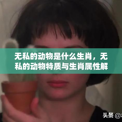 无私动物特质与生肖属性解读，揭秘生肖中的无私动物真面目