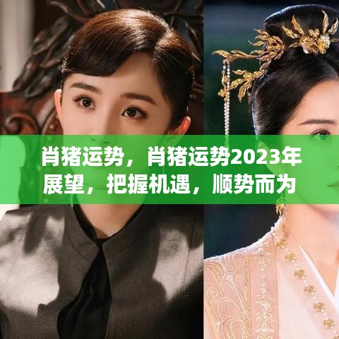 肖猪运势2023年展望，把握机遇，顺势而为