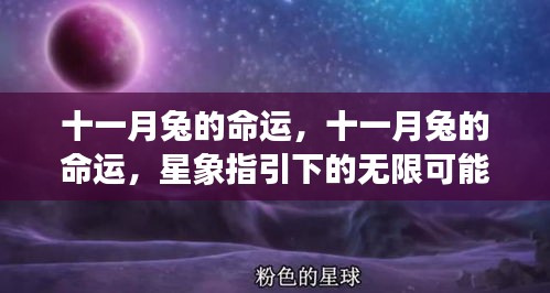 十一月兔星象指引，命运无限可能