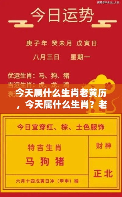 今日生肖运势揭秘，老黄历揭示运势奥秘，今日属XX生肖运势详解