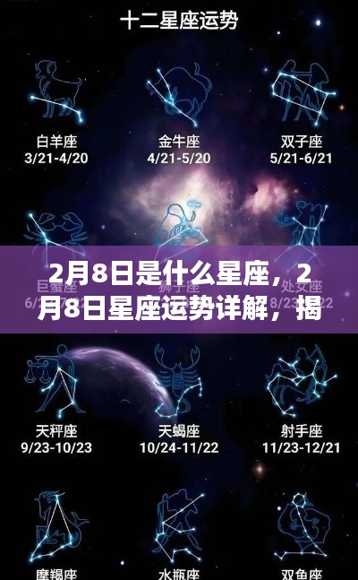 揭秘2月8日星座性格与运势走向，洞悉你的星座未来及性格特质