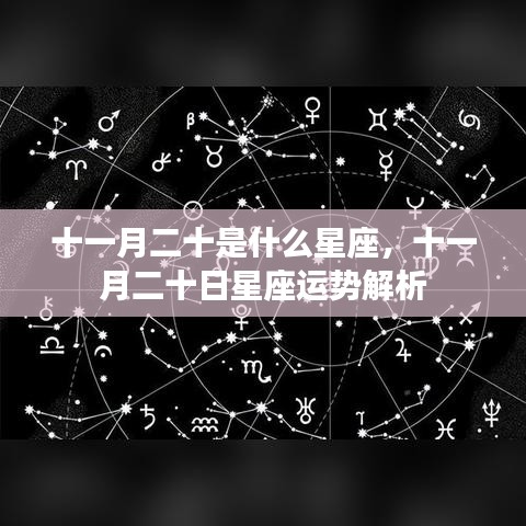 十一月二十日星座运势解析及特点概述