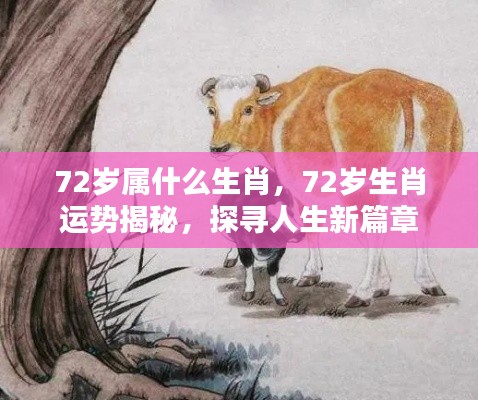 揭秘生肖运势，探寻72岁生肖的人生新篇章