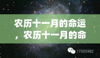 农历十一月命运解析，星象指引下的生命轨迹探索