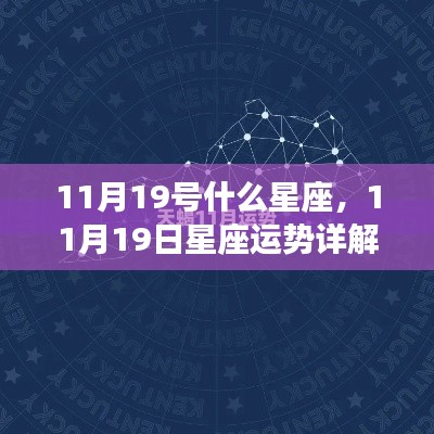 揭秘天蝎座魅力背后的秘密，11月19日星座运势详解与天蝎座运势展望