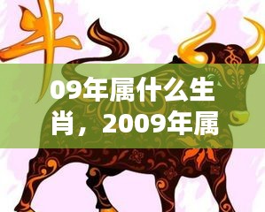 2009年属相运势解析，生肖运势大揭秘