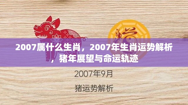 2007年属猪人的生肖运势解析与命运展望