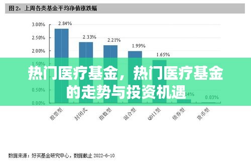 热门医疗基金的投资趋势与机遇分析