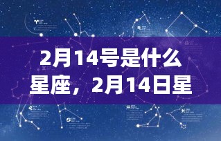 情人节星座揭秘，2月14日的星座运势与爱情邂逅