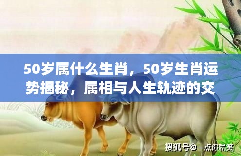 揭秘50岁生肖运势与人生轨迹交织的奥秘