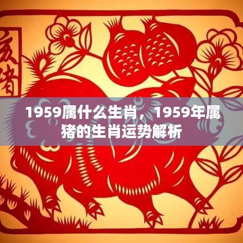 1959年属猪的生肖运势详解及生肖解析