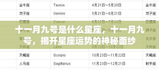 十一月九号星座揭秘，揭开运势神秘面纱