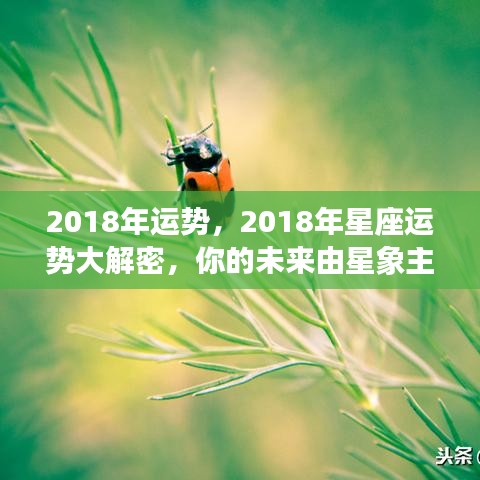 2018年运势，2018年星座运势大解密，你的未来由星象主宰