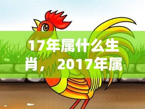 2017年属鸡人的生肖运势解析与特点概览