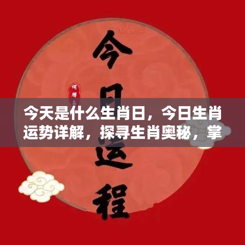 今日生肖运势揭秘，掌握运势走向，探寻生肖奥秘