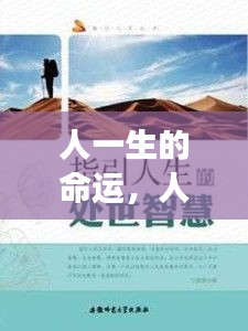 星座指引下的多元探索之旅，揭示命运奥秘的一生