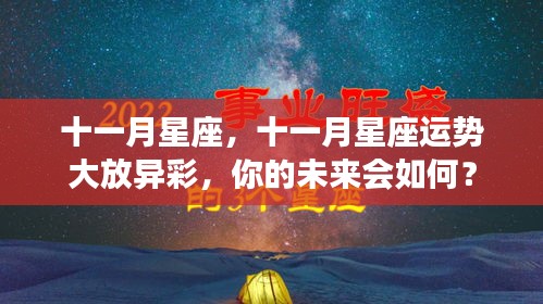 十一月星座运势展望，星光璀璨，未来命运如何？