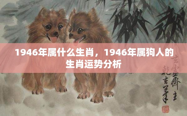 1946年属狗人的运势解析与生肖运势详解